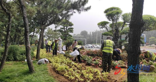 烟台园林栽植时令花卉 扮靓城市景观