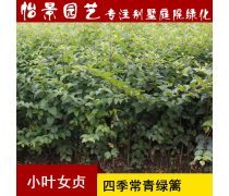 花卉苗木种植销售,园林绿化工程施工养护