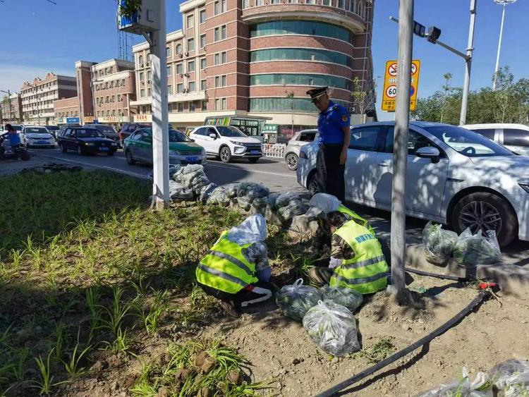 园林绿化养护中心植绿种花 提升城市“颜值”