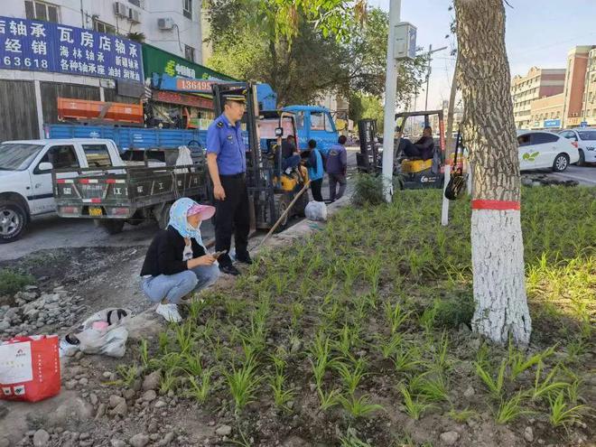 园林绿化养护中心植绿种花 提升城市“颜值”